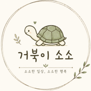 거북이 소소