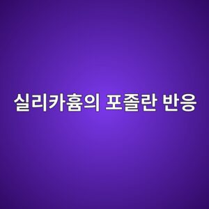 실리카흄의 포졸란 반응과 미세구조 치밀화 메커니즘 9 ec8ba4eba6acecb9b4ed9d84ec9d98 ed8faceca1b8eb9e80 ebb098ec9d91 1787641453